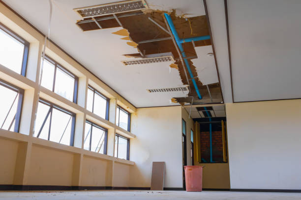 Professional Water damage restoration in Long Branch, VA