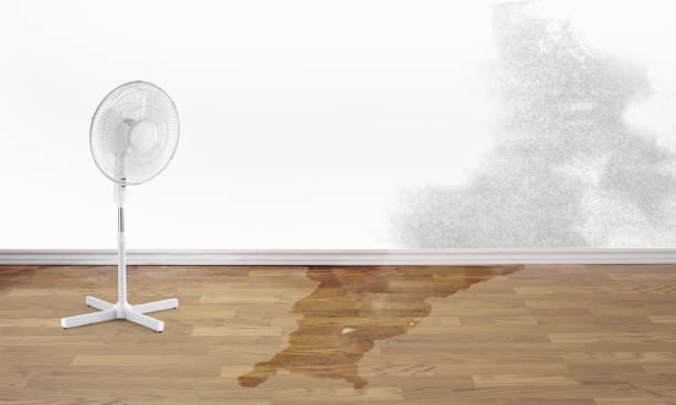 Best Water damage restoration mold remediation  in Long Branch, VA