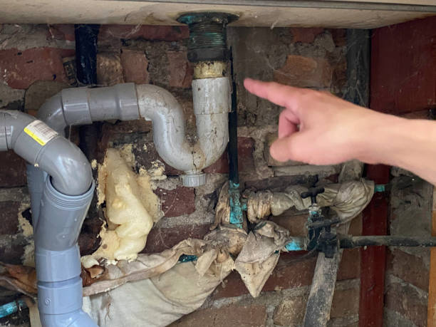 Best 24/7 water damage repair  in Long Branch, VA